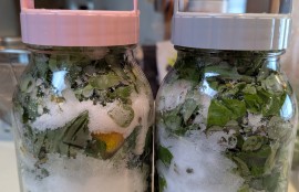 野草酵素作り会