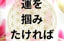 引き寄せる力